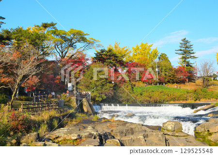Falls of Sogaki in autumn 129525548
