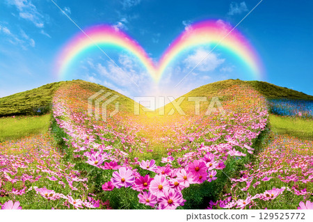 Cosmos field and heart-shaped landscape 129525772