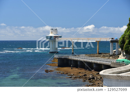 Kurara underwater park Katsuura city Katsuura city sightseeing Chiba Kurara underwater park Katsuura city Katsuura city sightseeing Chiba 129527099