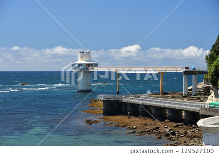 Kurara水下公園勝浦市勝浦市觀光千葉 129527100