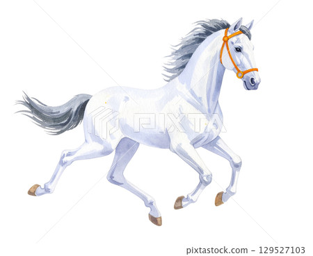 馬插畫素材 129527103