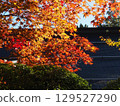 Koyasan in autumn 129527290