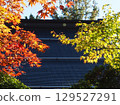 Koyasan in autumn 129527291