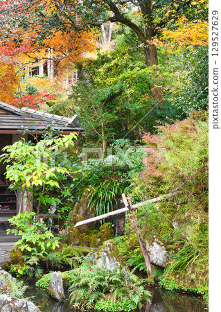 Ohara Hosen-in Temple (Sakyo Ward, Kyoto City, Kyoto Prefecture) Ohara Hosen-in Temple (Sakyo Ward, Kyoto City, Kyoto Prefecture) 129527629