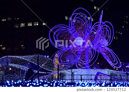 札幌白色燈飾節 大通公園 札幌白色燈飾節 大通公園 129527712