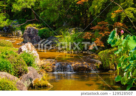【京都風光】退藏院:兩大雅緻園林:枯山水庭園與池式庭園 【京都風光】退藏院:兩大雅緻園林:枯山水庭園與池式庭園 129528507