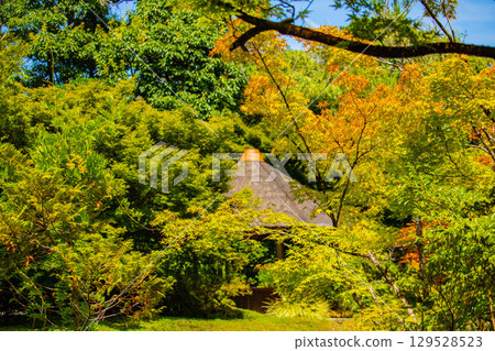 [Kyoto Scenery] Taizoin Temple: Two elegant gardens: dry landscape garden and pond-style garden 129528523