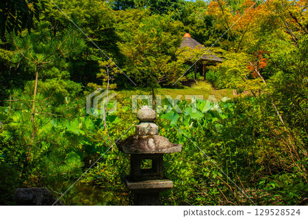 【京都風光】退藏院：兩大雅緻園林：枯山水庭園與池式庭園 129528524