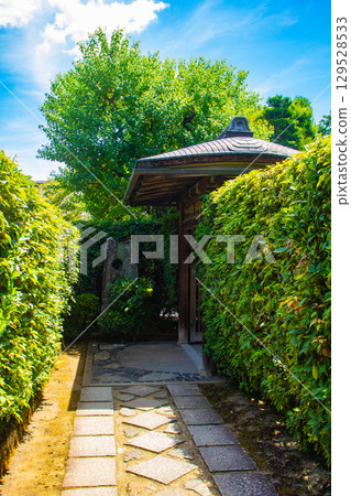 [Kyoto Scenery] Taizoin Temple: Two elegant gardens: dry landscape garden and pond-style garden 129528533