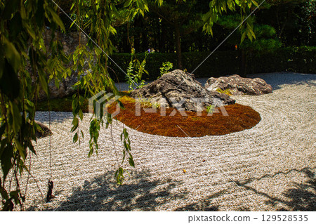 [Kyoto Scenery] Taizoin Temple: Two elegant gardens: dry landscape garden and pond-style garden 129528535