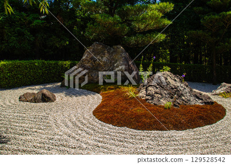 【京都風光】退藏院：兩大雅緻園林：枯山水庭園與池式庭園 129528542