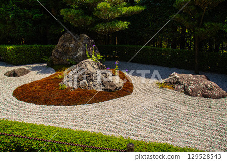 【京都風光】退藏院：兩大雅緻園林：枯山水庭園與池式庭園 129528543