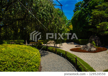 【京都風光】退藏院：兩大雅緻園林：枯山水庭園與池式庭園 129528550