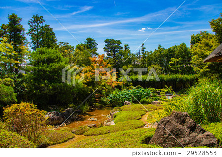 [Kyoto Scenery] Taizoin Temple: Two elegant gardens: dry landscape garden and pond-style garden 129528553