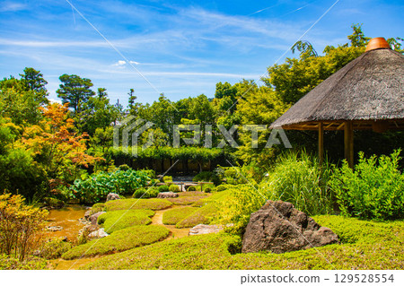 【京都風光】退藏院：兩大雅緻園林：枯山水庭園與池式庭園 129528554