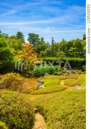 【京都風光】退藏院：兩大雅緻園林：枯山水庭園與池式庭園 129528555
