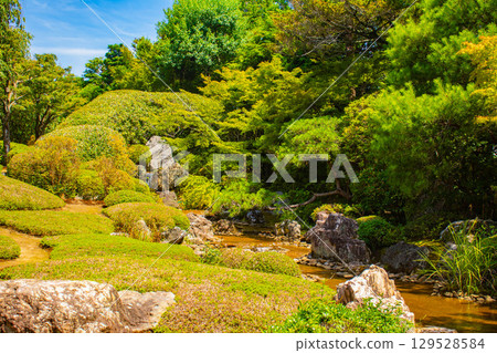 [Kyoto Scenery] Taizoin Temple: Two elegant gardens: dry landscape garden and pond-style garden 129528584