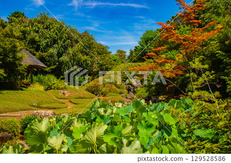 [Kyoto Scenery] Taizoin Temple: Two elegant gardens: dry landscape garden and pond-style garden 129528586