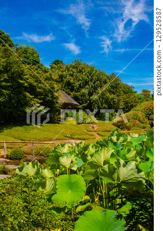 [Kyoto Scenery] Taizoin Temple: Two elegant gardens: dry landscape garden and pond-style garden 129528587