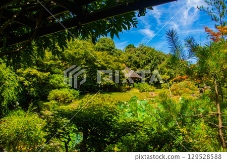 【京都風光】退藏院：兩大雅緻園林：枯山水庭園與池式庭園 129528588