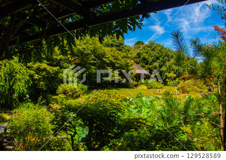 [Kyoto Scenery] Taizoin Temple: Two elegant gardens: dry landscape garden and pond-style garden 129528589
