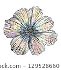 Hand draw illustration of a cosmos flower with line work and soft watercolor pastel texture in rainbow colors for greeting cards, wall art, invitations, fashion, scrapbooking, sketch style. 129528660