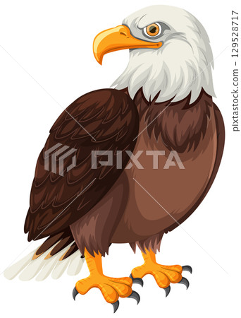 Bald Eagle Vector Illustration with Detailed Feathers 129528717