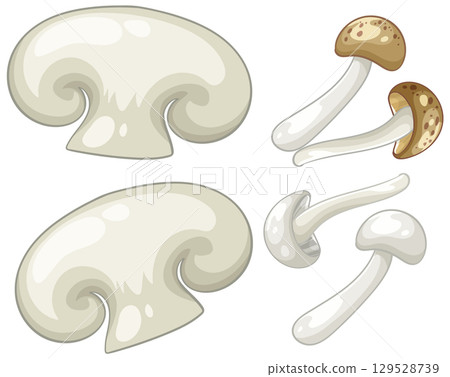 Vector Illustration of Various Mushrooms 129528739