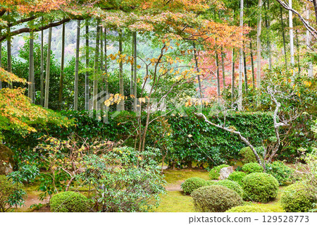 Ohara Hosen-in Temple, Bankan-en Garden (Sakyo Ward, Kyoto City, Kyoto Prefecture) 129528773