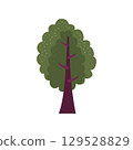 flat vector icon of tree with green leaves 129528829