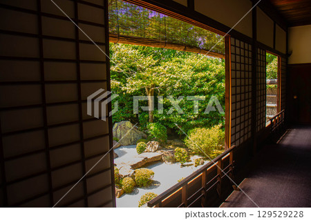 [Kyoto Scenery] Taizoin Temple: Two elegant gardens: dry landscape garden and pond-style garden 129529228