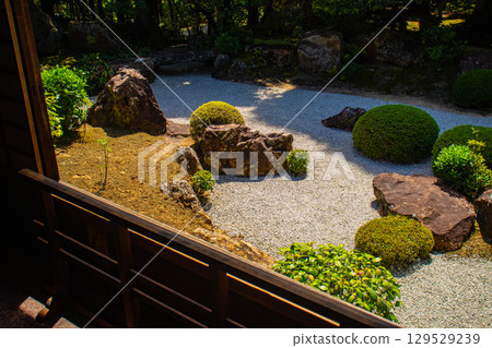 【京都風光】退藏院:兩大雅緻園林:枯山水庭園與池式庭園 【京都風光】退藏院:兩大雅緻園林:枯山水庭園與池式庭園 129529239