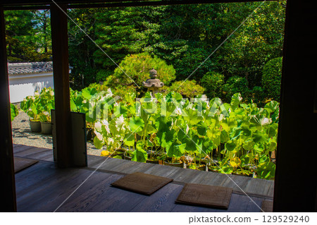 [Kyoto Scenery] Taizoin Temple: Two elegant gardens: dry landscape garden and pond-style garden 129529240