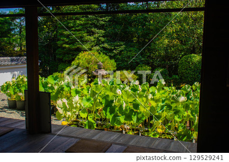 [Kyoto Scenery] Taizoin Temple: Two elegant gardens: dry landscape garden and pond-style garden 129529241