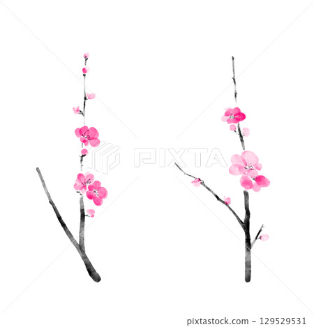 水彩畫梅花插圖 129529531