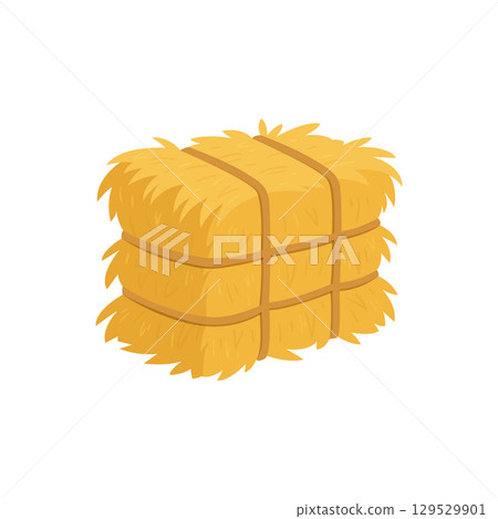 Hay bale: dried crop used as animal fodder, especially for cattle, horses, and goats, tied with rope. 129529901
