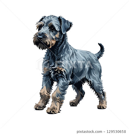 Cutout illustration of a Kerry Blue Terrier puppy standing Cutout illustration of a Kerry Blue Terrier puppy standing 129530658