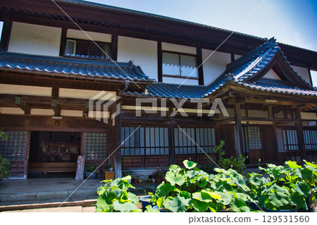 Lotus flowers blooming in the temple grounds 129531560