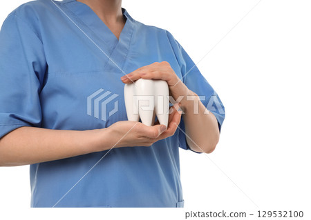 Expert shows tooth model for patient education, isolated on white, PNG 129532100