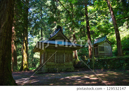 The large cedar tree and Kannon statue in Iwaya 129532147