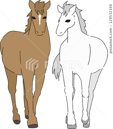 Illustration of two standing horses Illustration of two standing horses 129532168