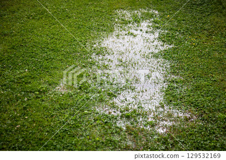 Flooded Lawn After Rainfall Showing Water Saturation and Drainage Problem on Grass Surface. 129532169