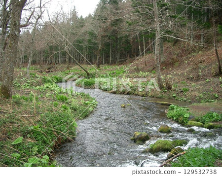 River River 129532738