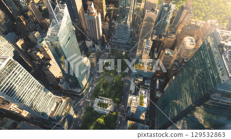 Cityscape of high-rise buildings and wide tree-lined avenues. Skyscrapers and business district of New York 129532863