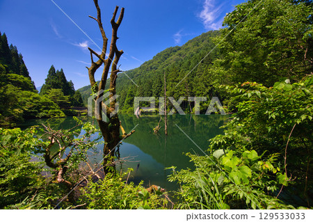 Spectacular water reflection: Iwaya River Sabo Dam 129533033