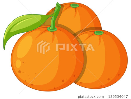 Three Fresh Oranges with Green Leaf Vector Illustration 129534047