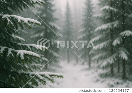 A Captivating Winter Forest Scene with Snow-Covered Evergreen Trees 129534177