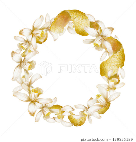 Round wreath blooming white lemon tree flowers,peel,zest spirals and curls-fragrant garnish for menu,refreshing cocktails fresh,for recipes,bars,food.Watercolor illustration isolated on white Round wreath blooming white lemon tree flowers,peel,zest spirals and curls-fragrant garnish for menu,refreshing cocktails fresh,for recipes,bars,food.Watercolor illustration isolated on white 129535189