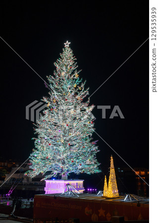 Giant Christmas tree in Hakodate, Hokkaido 129535939
