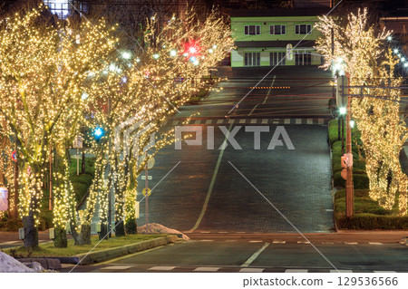 Night view of Hakodate _ twenty hills Night view of Hakodate _ twenty hills 129536566